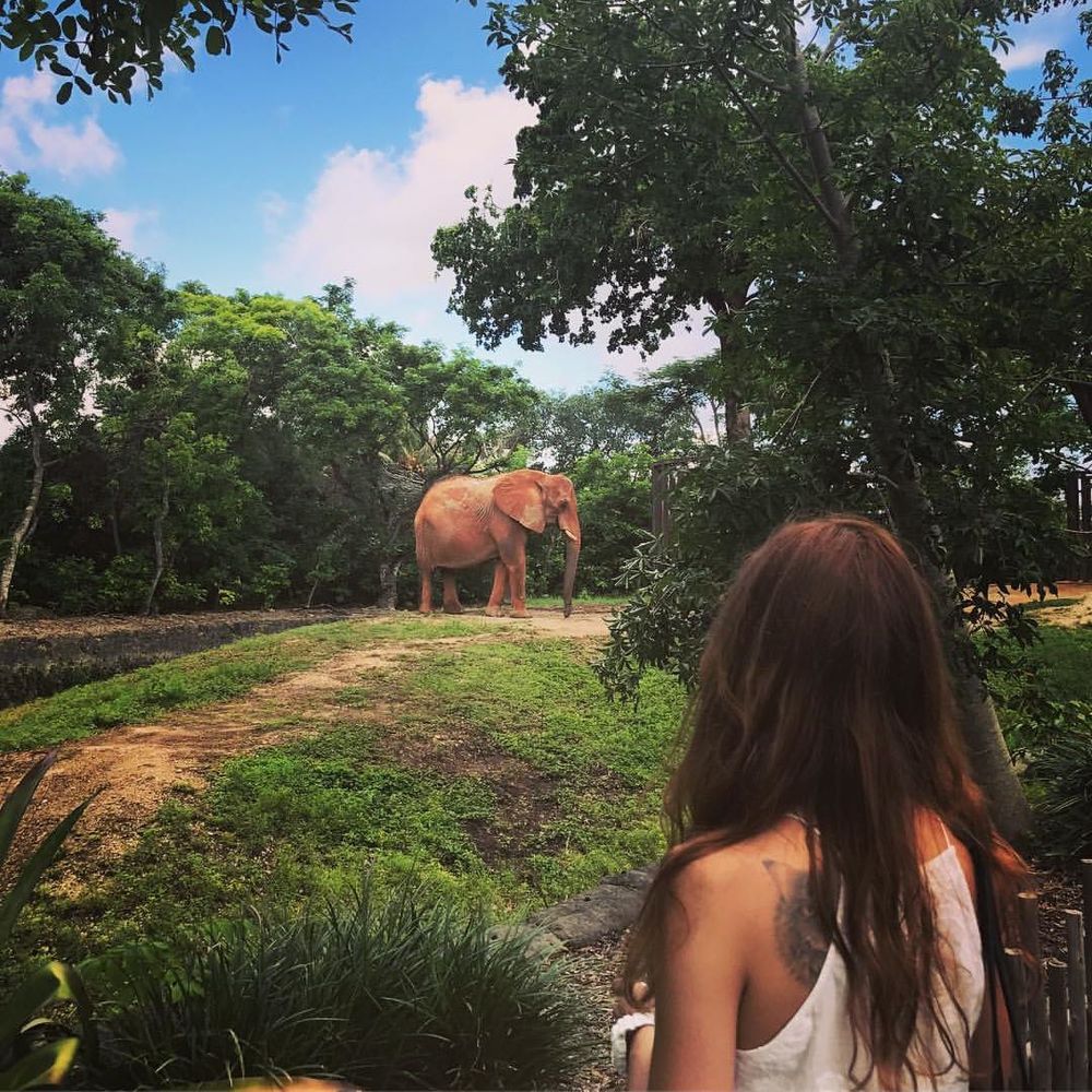 Meet your Posher, Polly